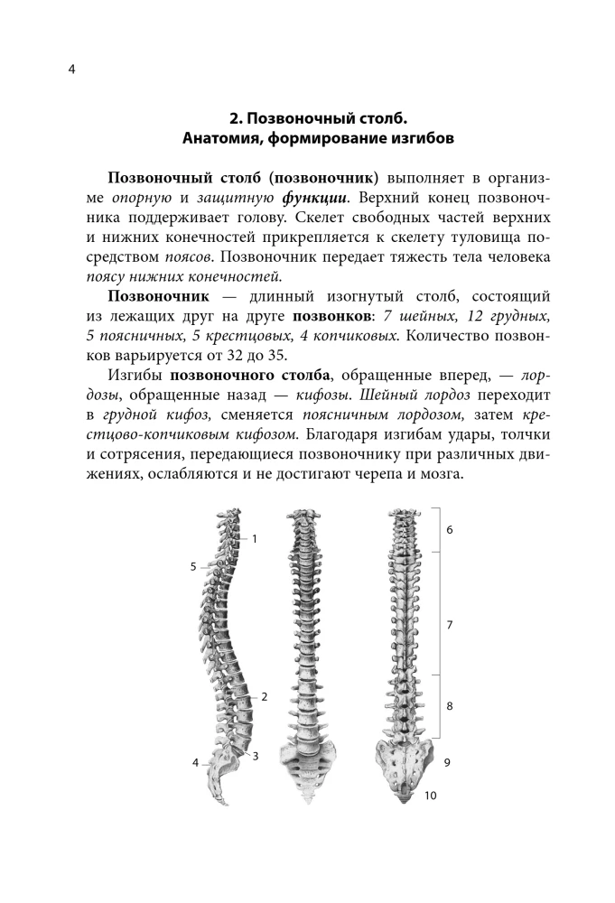 Notatnik-podpowiedź z anatomii
