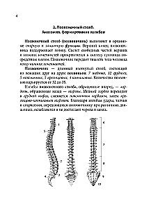 Notatnik-podpowiedź z anatomii