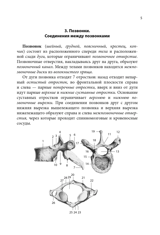Notatnik-podpowiedź z anatomii
