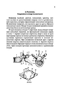 Notatnik-podpowiedź z anatomii