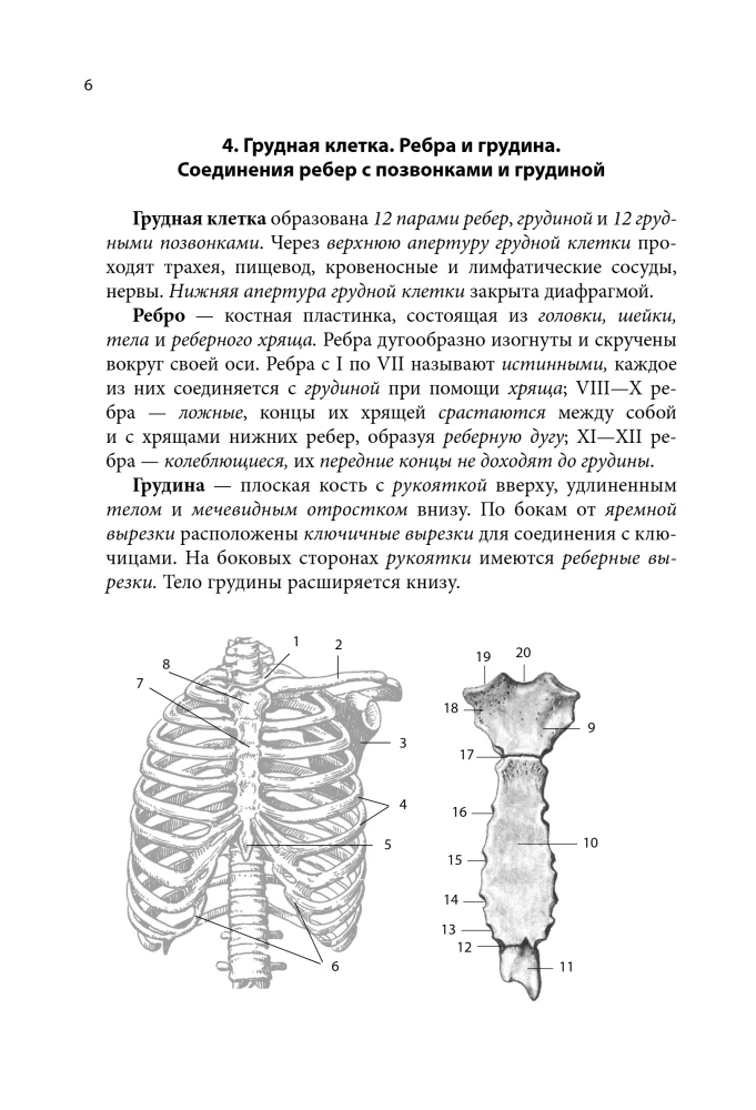 Notatnik-podpowiedź z anatomii