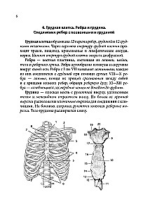 Notatnik-podpowiedź z anatomii