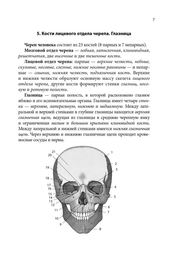 Notatnik-podpowiedź z anatomii