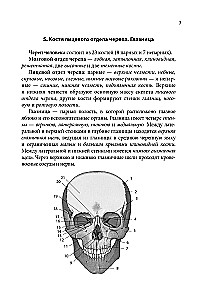 Notatnik-podpowiedź z anatomii