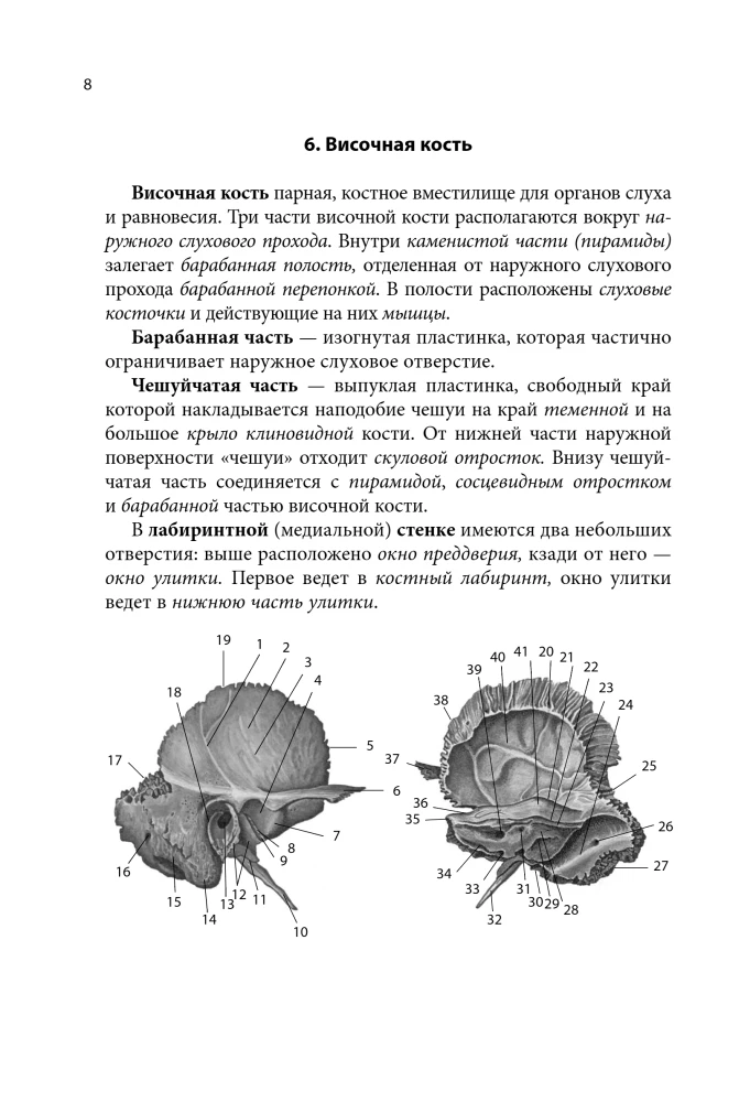 Notatnik-podpowiedź z anatomii