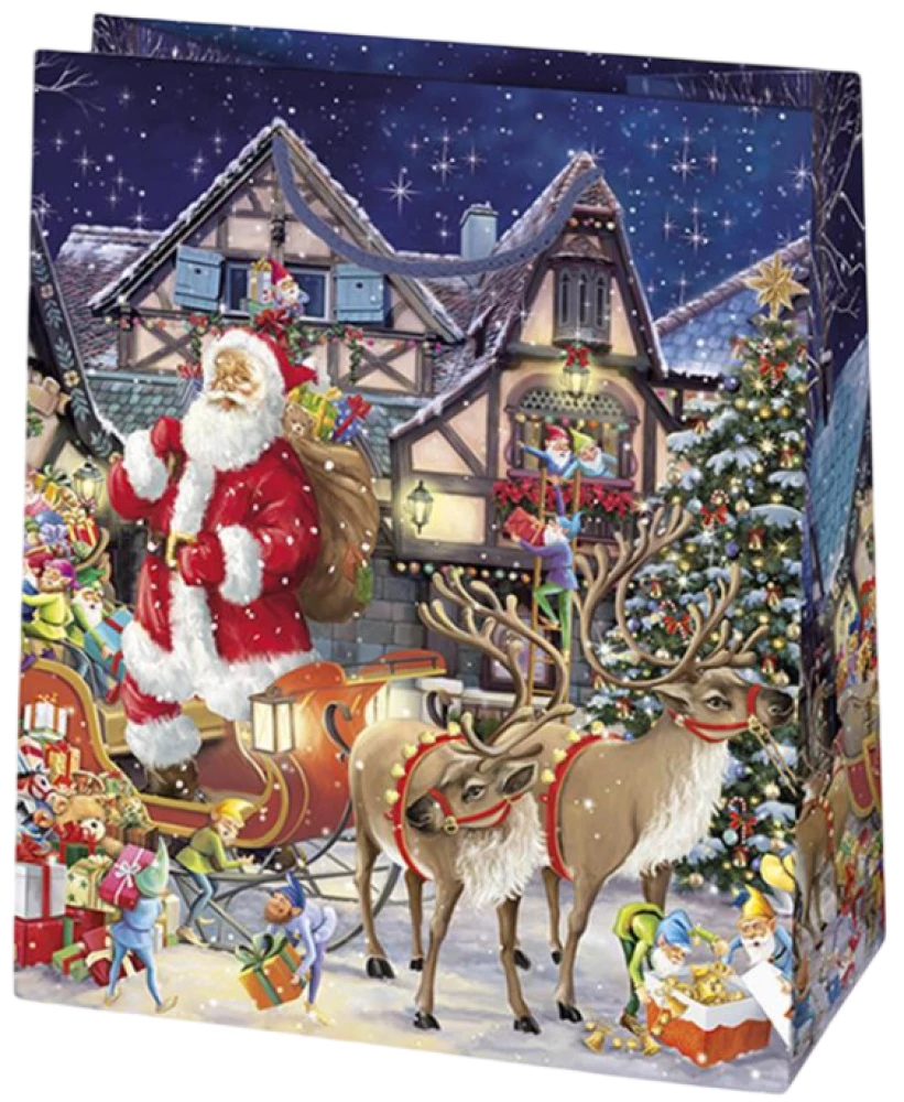 Gift bag 19x23x10.5 cm, assorted