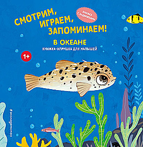 Watching, Playing, Remembering! In the Ocean