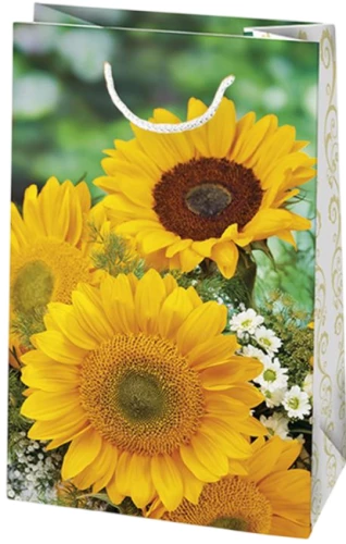 Geschenktüte 10x16x6 cm, assortiert