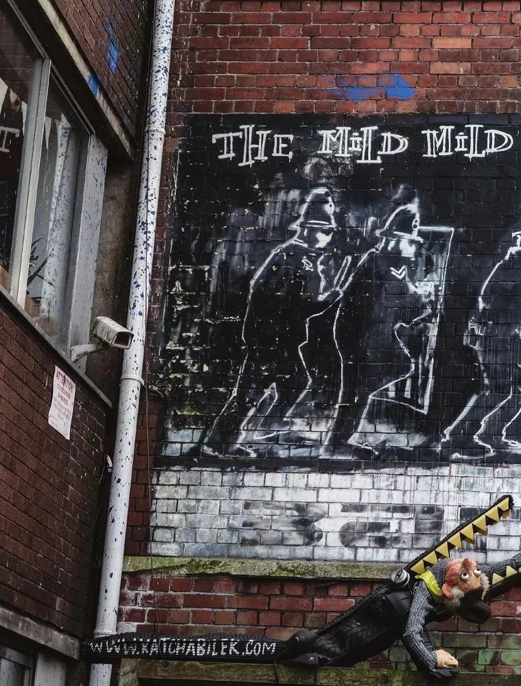 Banksy. Die erste vollständige Untersuchung des Geheimnisses des Künstlers