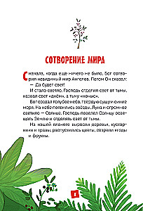 Mana pirmā Bībele