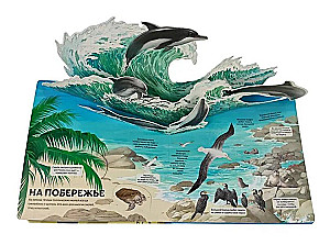 Animals and Plants. The Most Beautiful Encyclopedia with Windows, Flaps, and 3D Panoramas