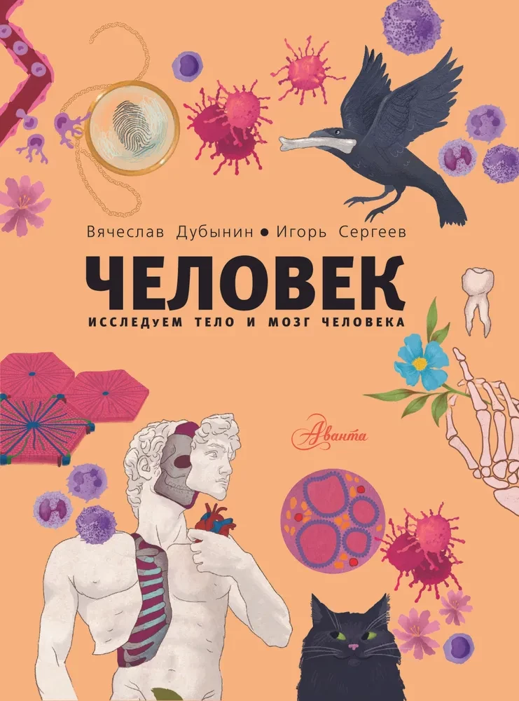 Человек. Исследуем тело и мозг человека