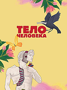 Человек. Исследуем тело и мозг человека