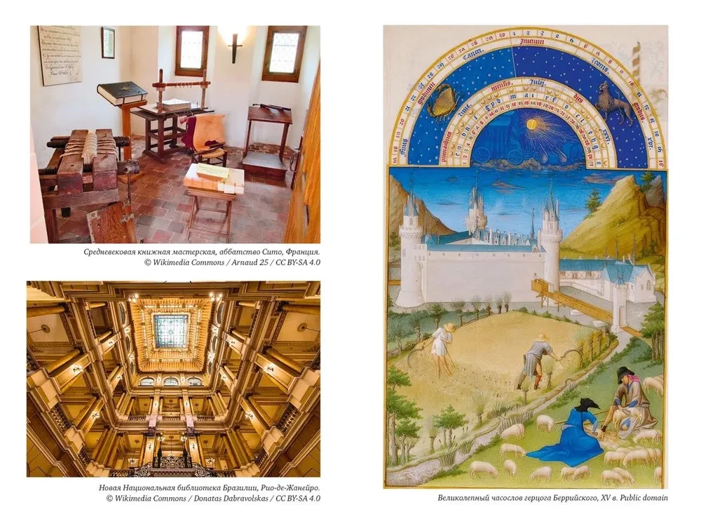 Historia bibliotek. Kolekcjonerzy. Teksty. Budynki
