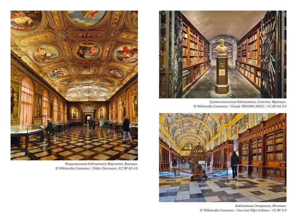 Historia bibliotek. Kolekcjonerzy. Teksty. Budynki