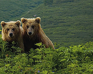 Где рождается солнце. Первозданный Дальний Восток глазами фотографов-путешественников