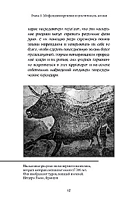 Metų laikų mitai