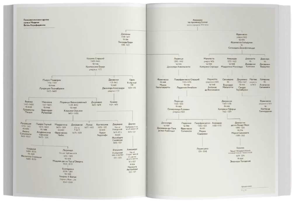 Füchse und Löwen. Die Geheimnisse der Medici-Dynastie. Die Renaissance in Italien