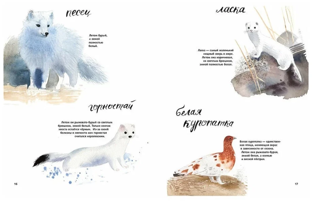 Sveika, ziema!