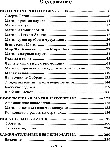 Музей черной магии. Книга 4