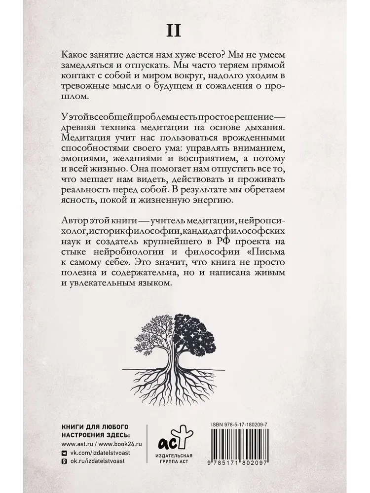 Прямой контакт. Пошаговое руководство по медитации на дыхание