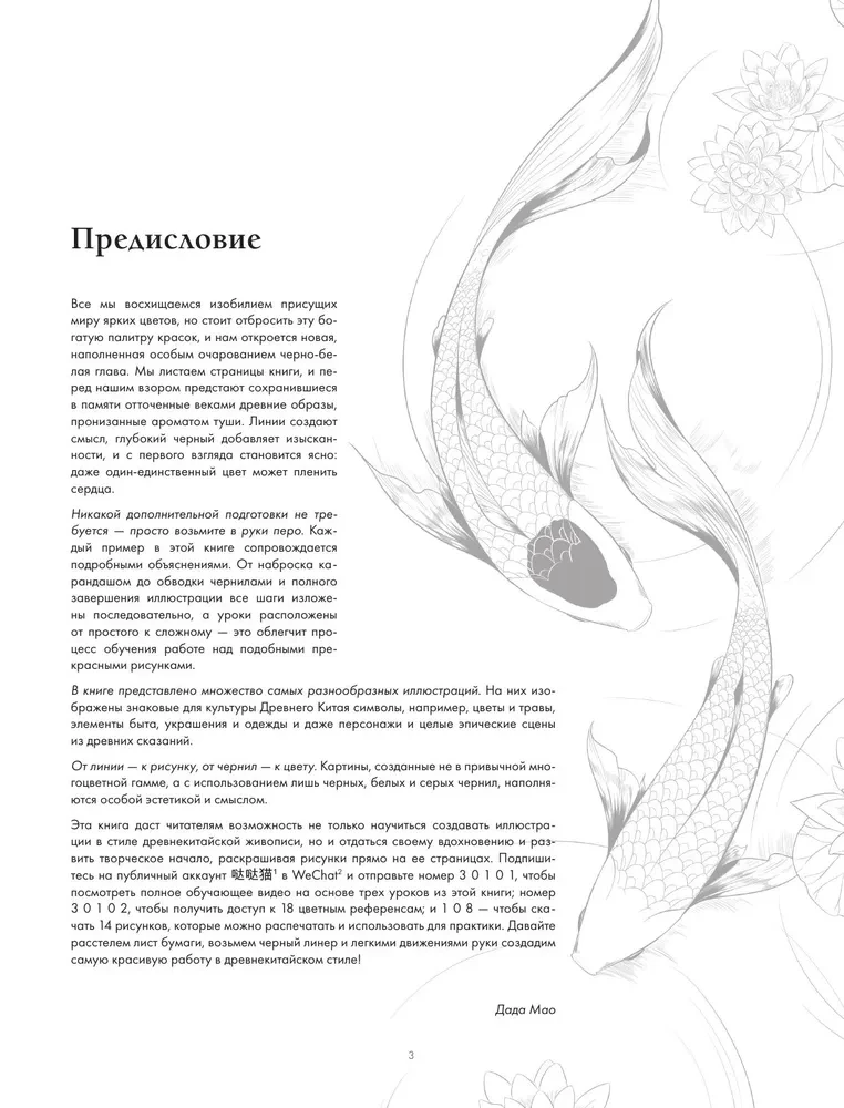 Искусство линий. Учимся рисовать в китайском стиле: от наброска до готовой иллюстрации