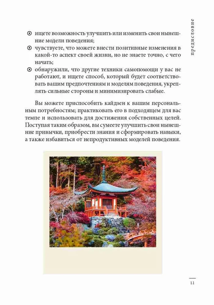 Kaizen. Die japanische Methode zur Transformation von Gewohnheiten in kleinen Schritten