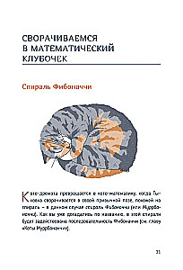 Kaķu matemātika. No vienkārša uz sarežģītu uz pūkainiem piemēriem