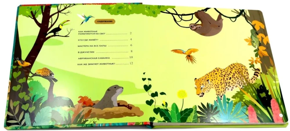 Tiere und Vögel
