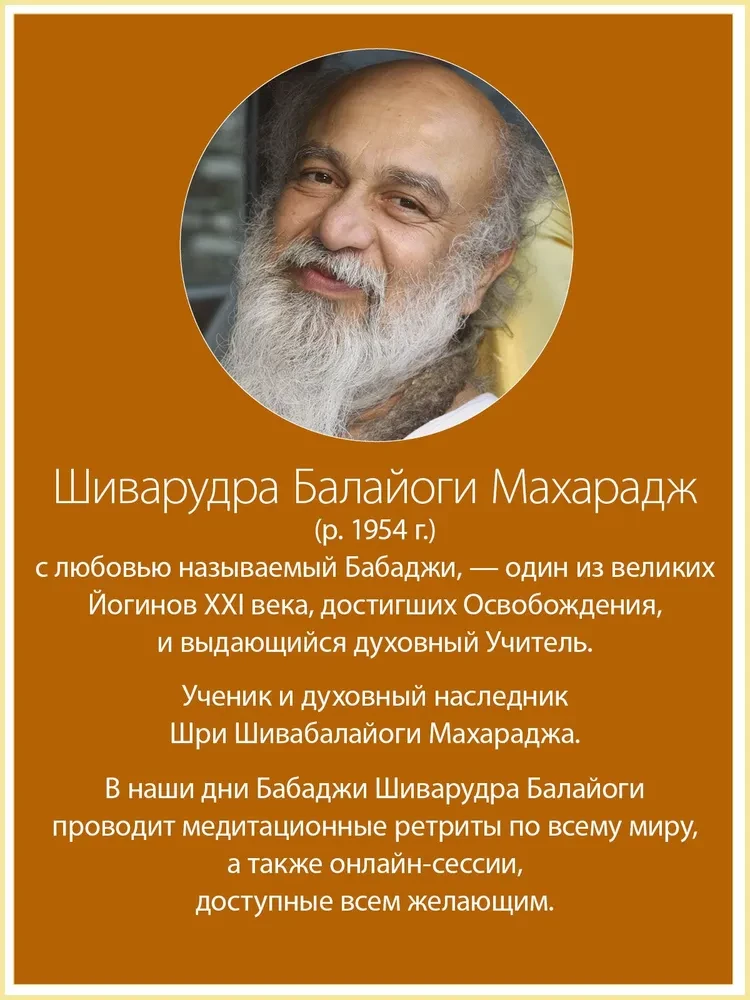 Innere Ruhe. Gespräche mit Sri Shivarudra Balayogi Maharaj
