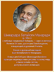 Innere Ruhe. Gespräche mit Sri Shivarudra Balayogi Maharaj
