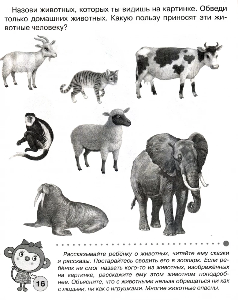 Checking Preschooler Knowledge. Tests for 4-Year-Olds. Workbook