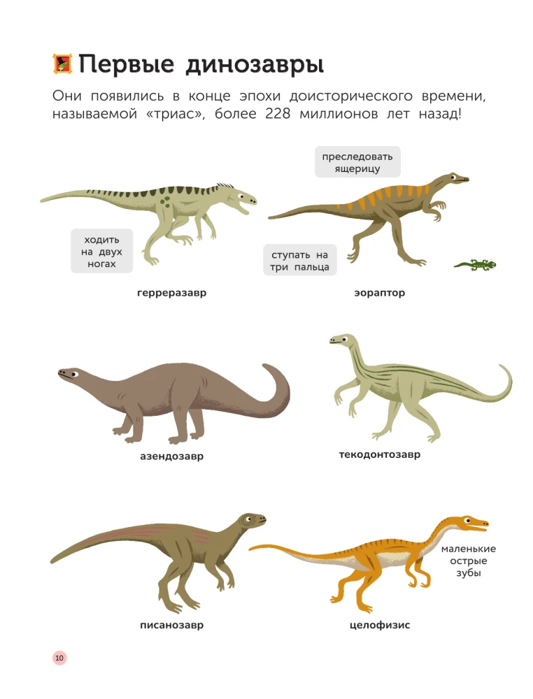 Dinosaurs
