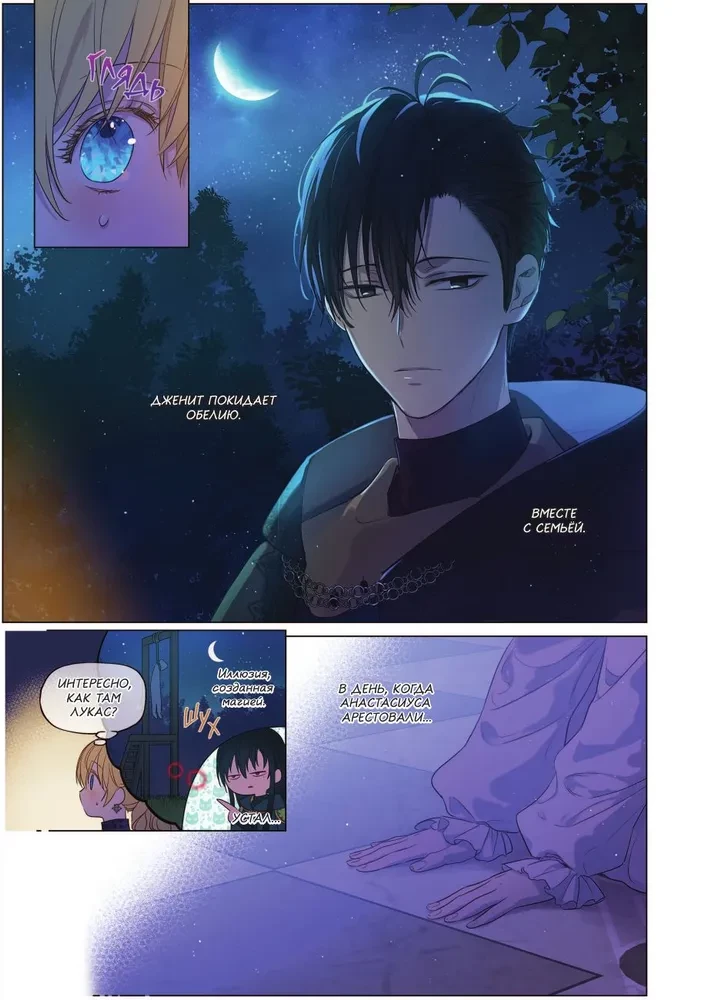 Once I Became a Princess. Volume 9