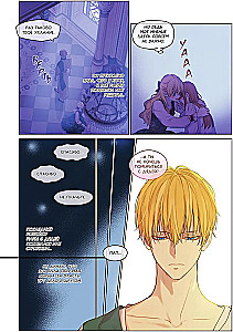 Once I Became a Princess. Volume 9
