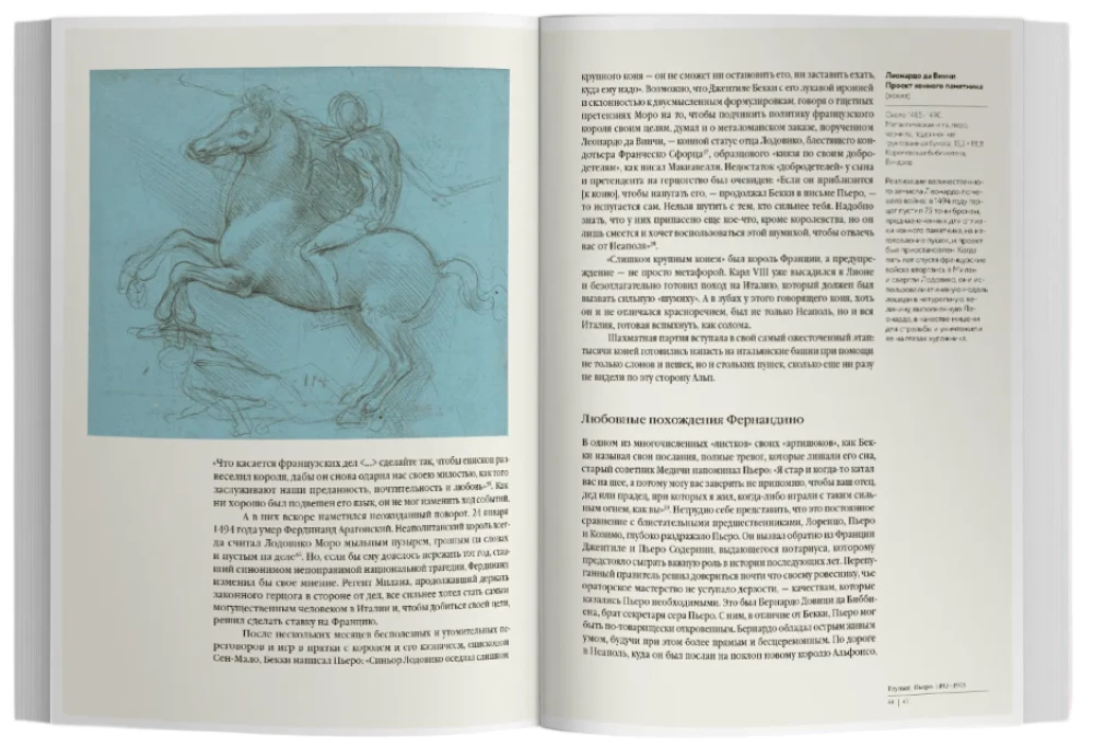 Füchse und Löwen. Geheimnisse der Medici-Dynastie. Die Renaissance in Italien