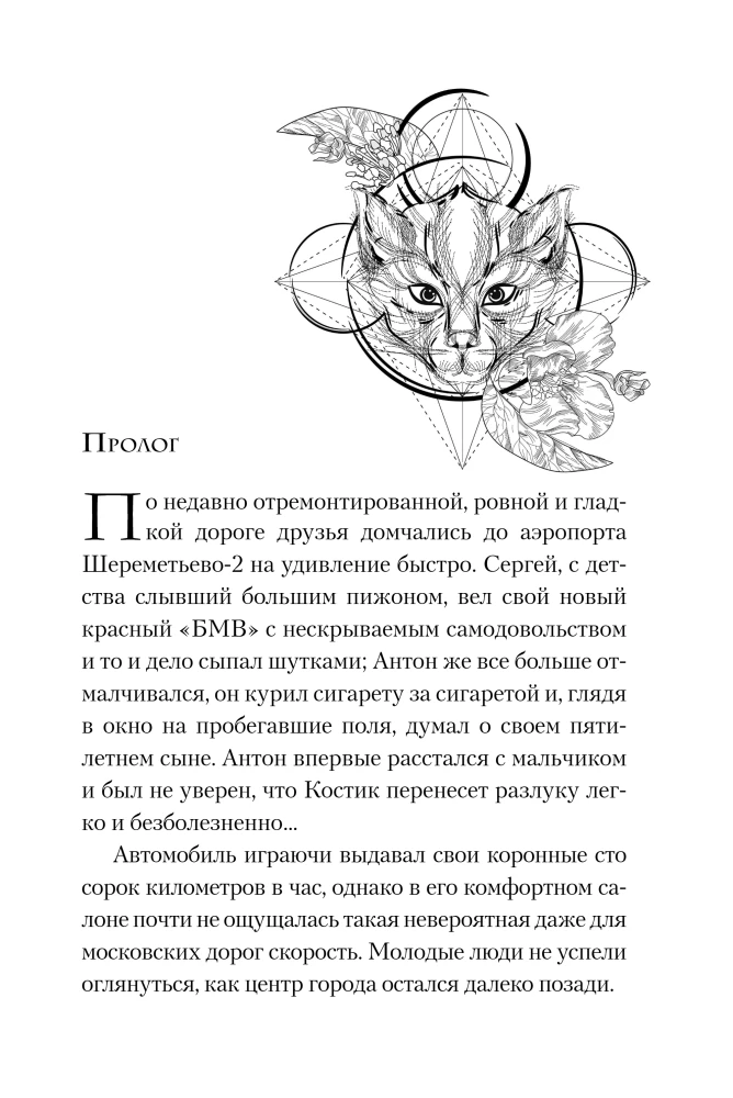 Улыбка черного кота