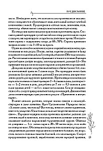 Аптечный огород. Справочник по сбору, хранению и применению целебных растений