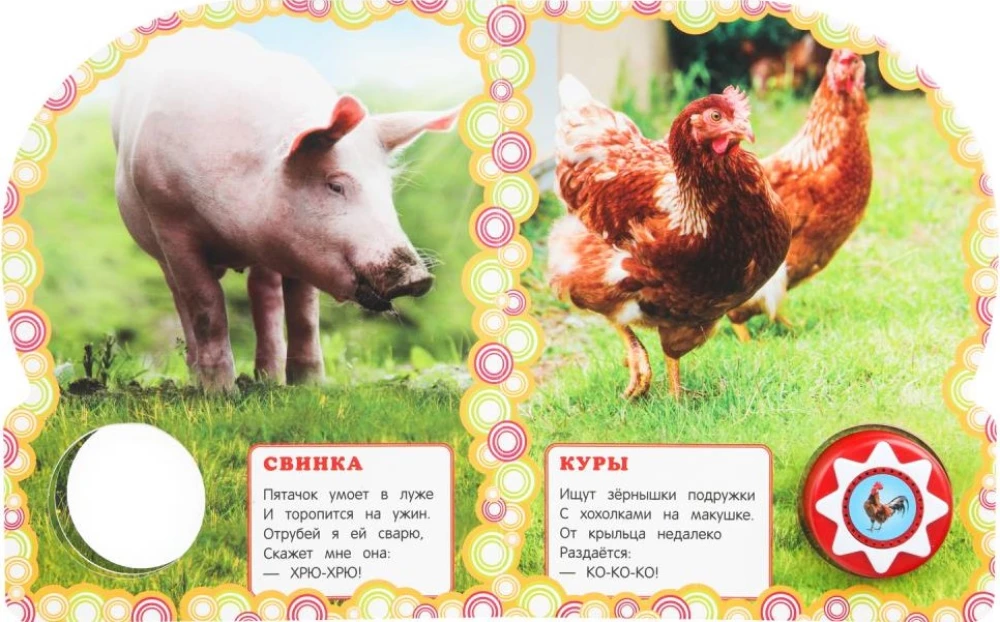 Zwierzęta domowe
