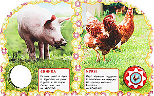 Zwierzęta domowe