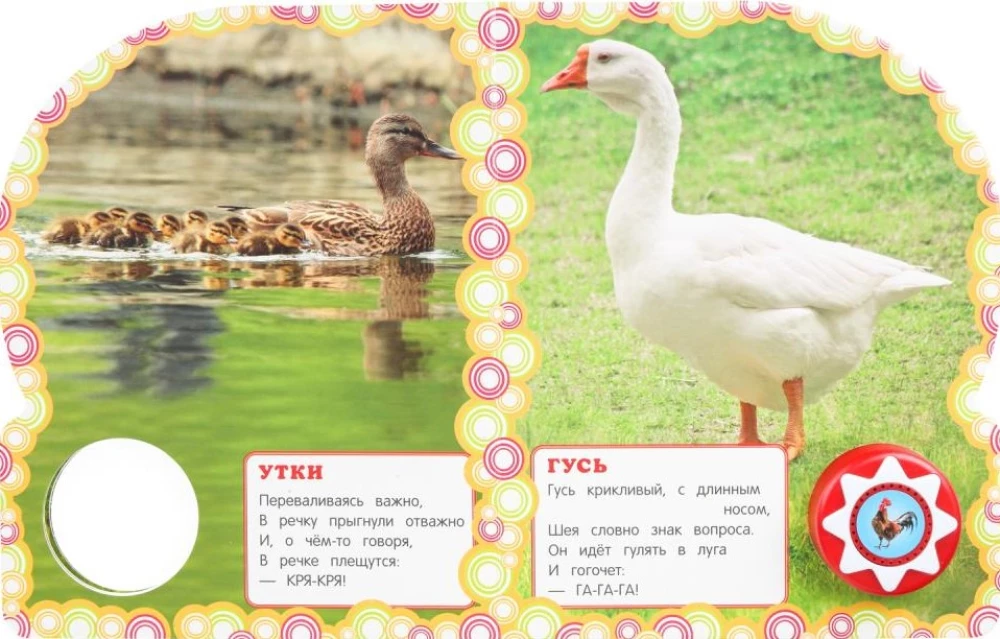 Zwierzęta domowe