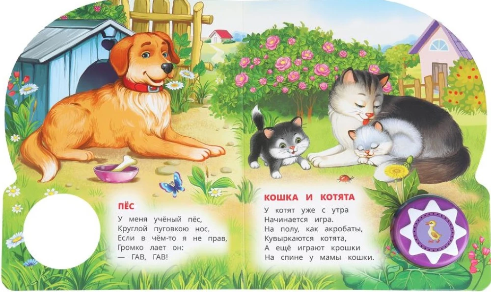 Zwierzęta domowe