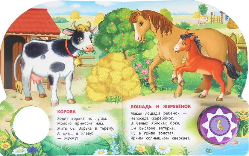 Zwierzęta domowe