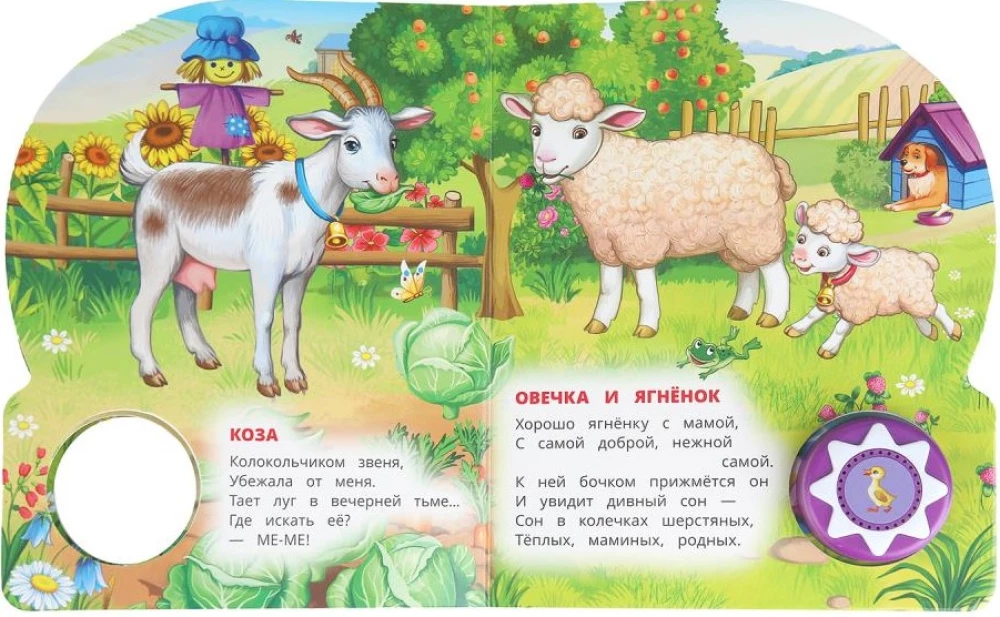 Zwierzęta domowe