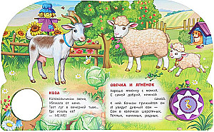 Zwierzęta domowe
