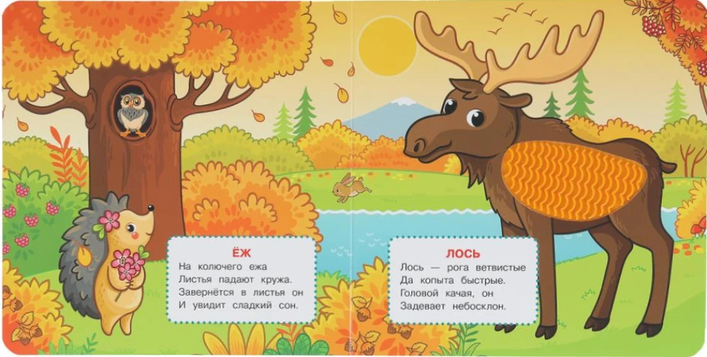 Leśne zwierzęta