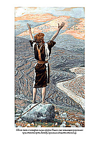 Erklärende Bibel Neues Testament (Set 2 Bände)
