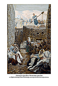 Erklärende Bibel Neues Testament (Set 2 Bände)