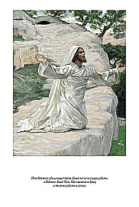Erklärende Bibel Neues Testament (Set 2 Bände)