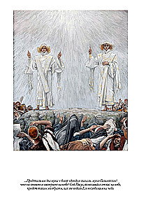 Erklärende Bibel Neues Testament (Set 2 Bände)